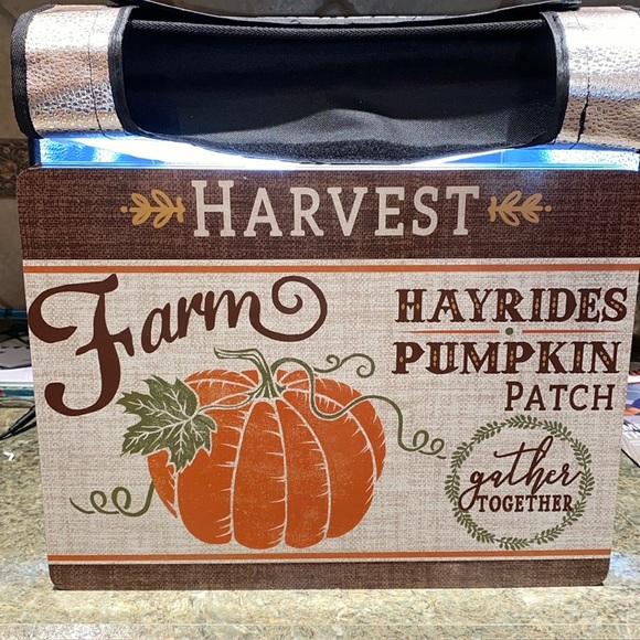 Dinner Time! - Picture 2 of 7